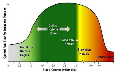 Chart describing ketosis and how to have a healthy lifestyle