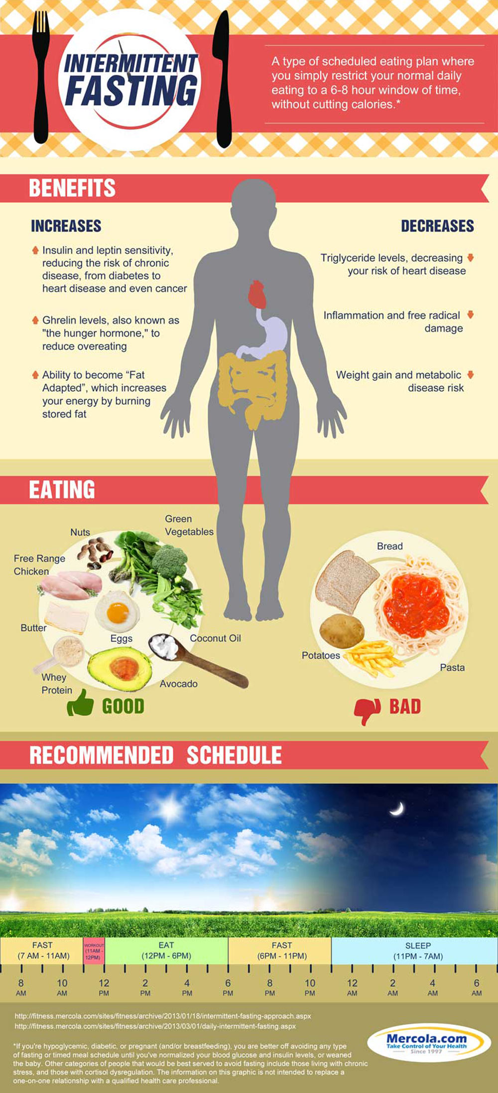 Intermittent Fasting Infographic 2613