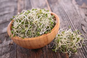 Broccoli sprouts are a healthy food