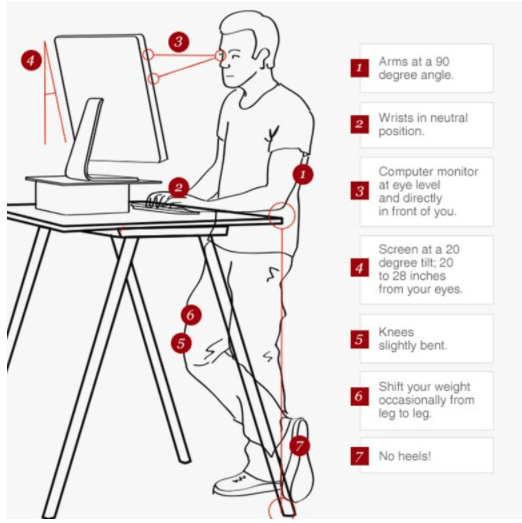 Diagram of the ideal workstation